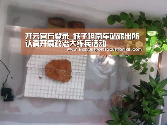 开云官方登录_城子坦南车站派出所认真开展政治大练兵活动(图1) 开云官方登录_城子坦南车站派出所认真开展政治大练兵活动(图1)