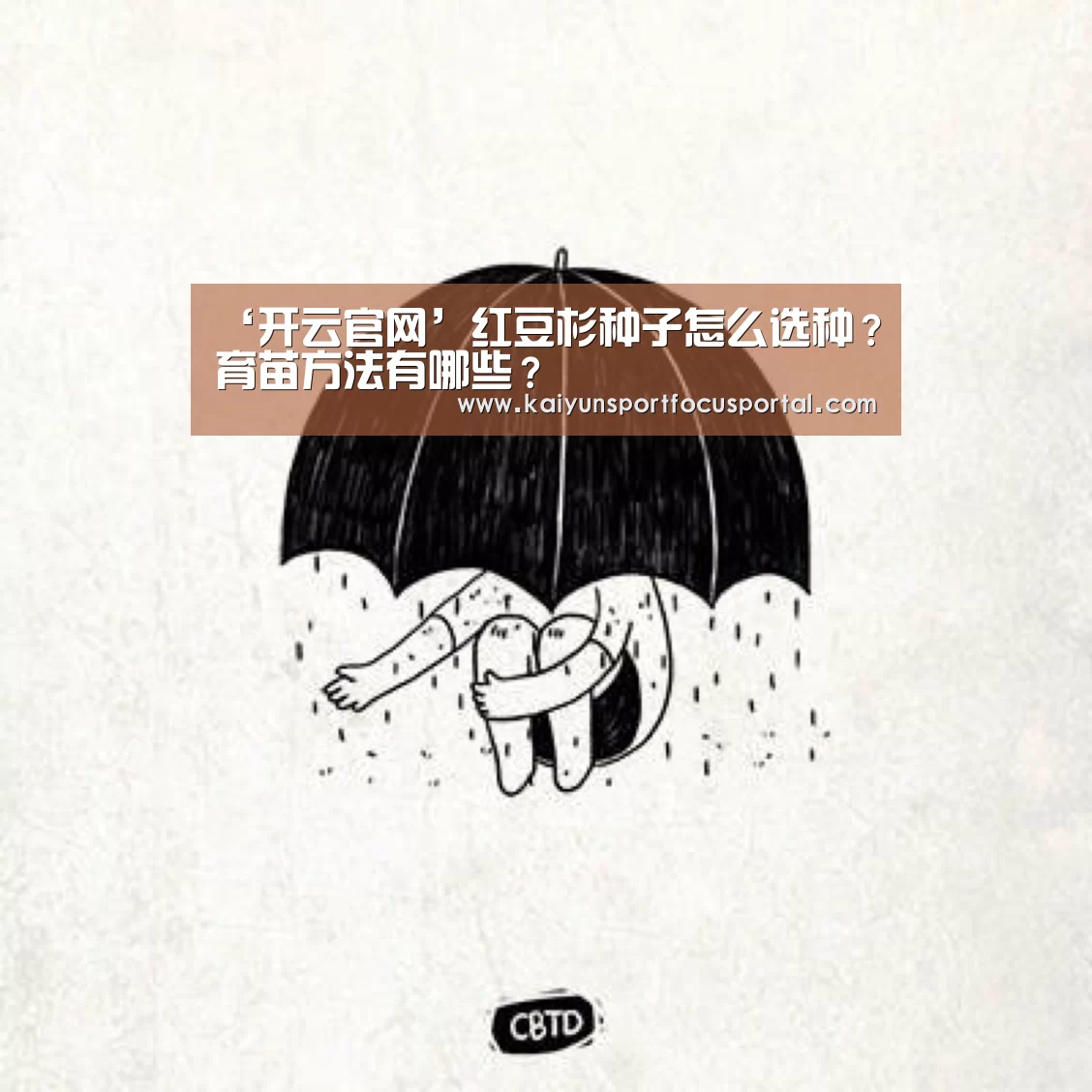 ‘开云官网’红豆杉种子怎么选种？育苗方法有哪些？(图2)