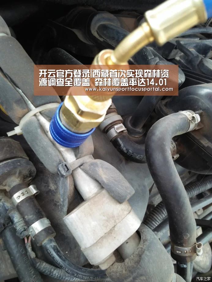 开云官方登录|西藏首次实现森林资源调查全覆盖　森林覆盖率达14.01%(图4)