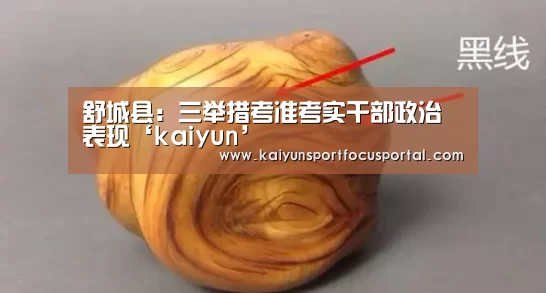 舒城县:三举措考准考实干部政治表现‘kaiyun’(图1) 开云官方登录