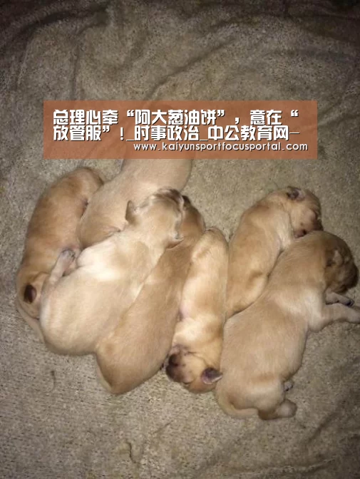 总理心牵“阿大葱油饼”,意在“放管服”!_时事政治_中公教育网-开云官网(图1) 开云官网