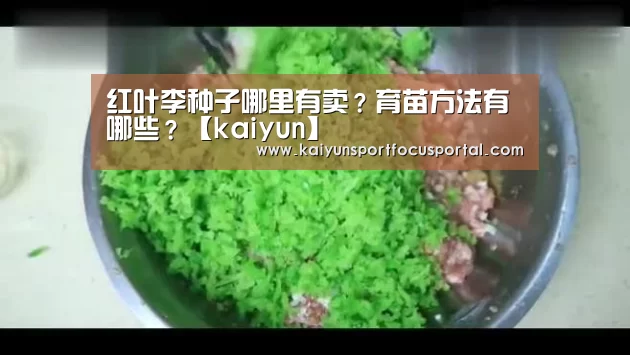 开云在线登入