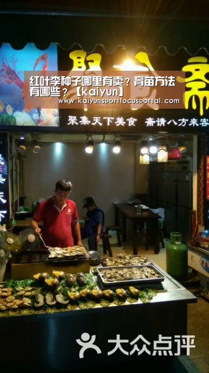 开云官网