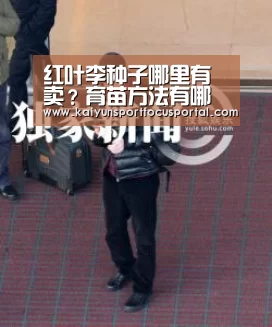 开云官方登录