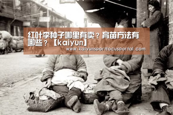 开云官网