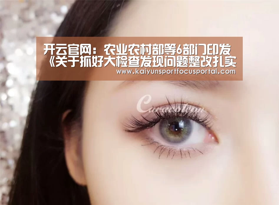 开云在线登入