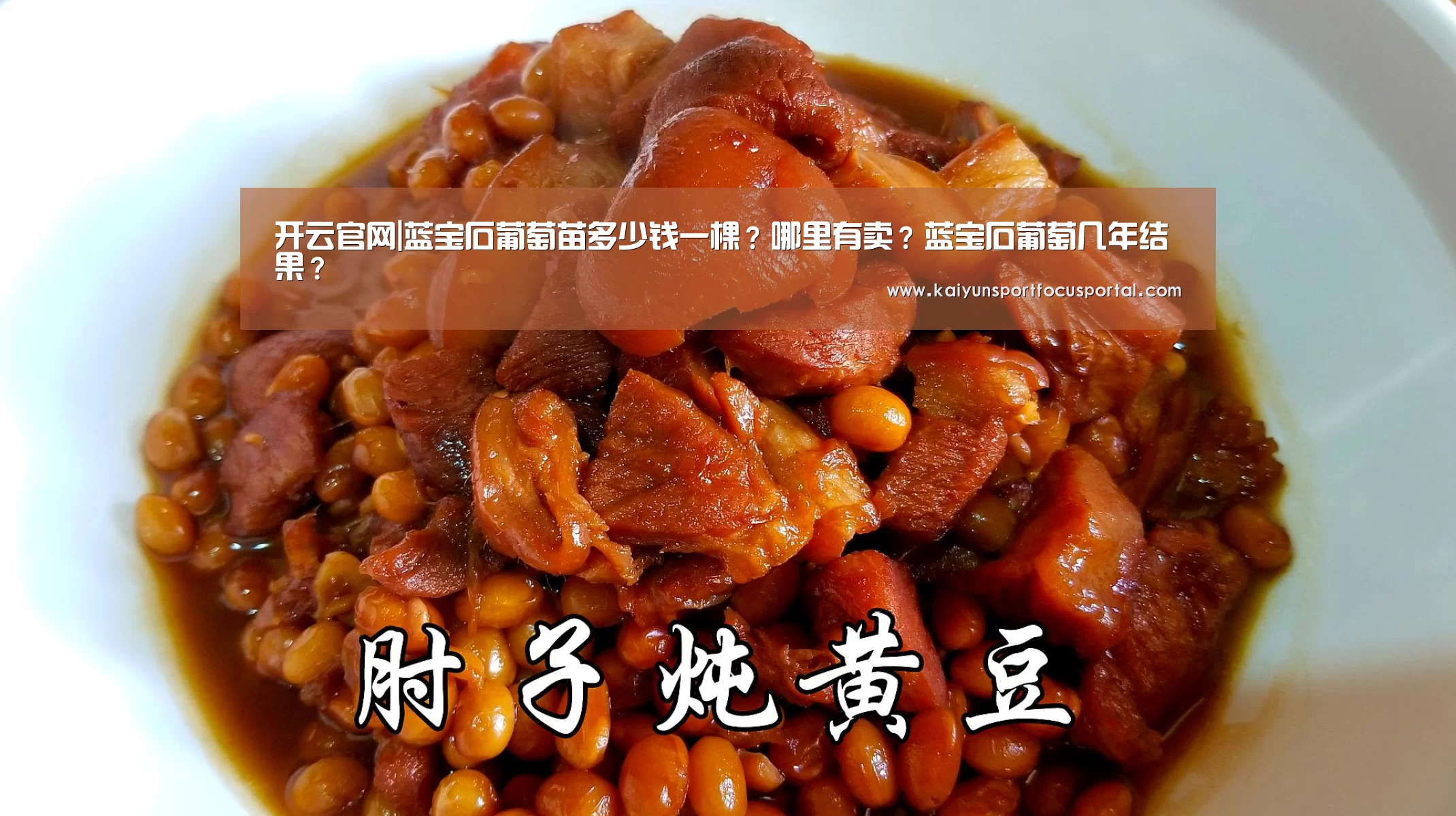 开云在线登入
