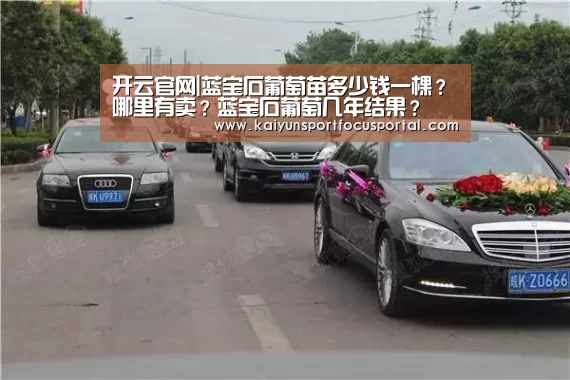 开云官方登录