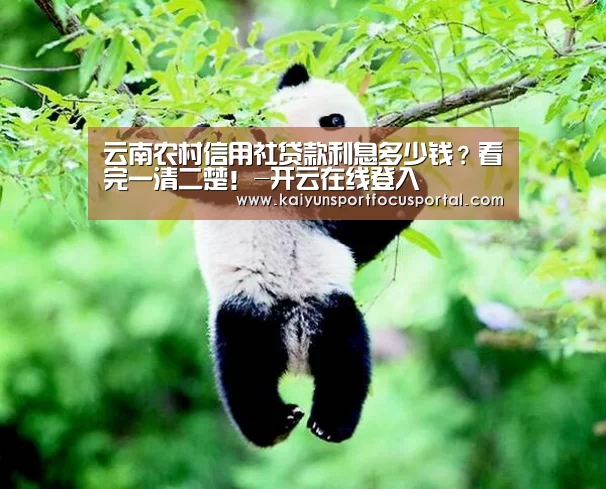 云南农村信用社贷款利息多少钱?看完一清二楚!-开云在线登入(图2) 开云官方登录