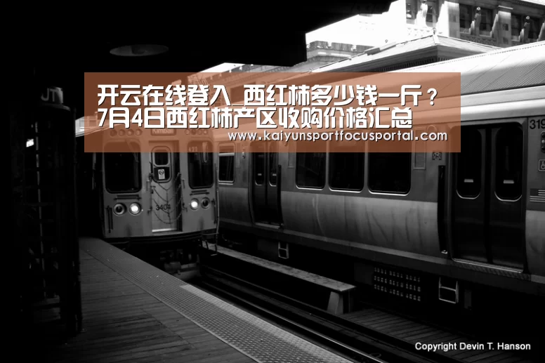 开云在线登入_西红柿多少钱一斤?7月4日西红柿产区收购价格汇总(图2) 开云在线登入_西红柿多少钱一斤?7月4日西红柿产区收购价格汇总(图2)