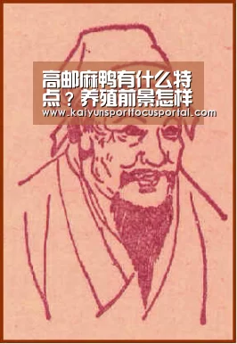 高邮麻鸭有什么特点?养殖前景怎样?看一则高邮麻鸭养殖致富案例‘开云官网’(图1) 高邮麻鸭有什么特点?养殖前景怎样?看一则高邮麻鸭养殖致富案例‘开云官网’(图1)