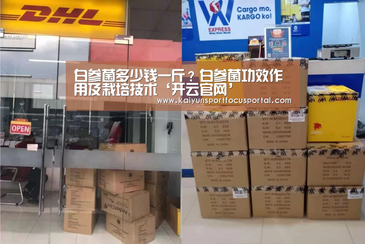 开云官方登录