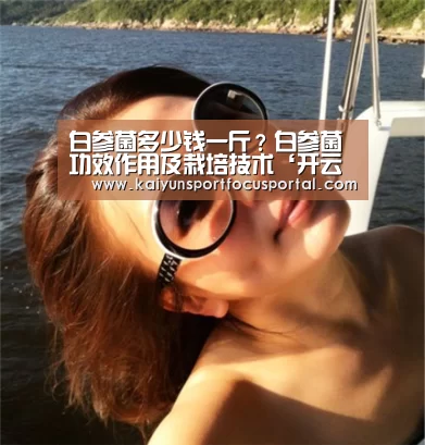 开云官方登录