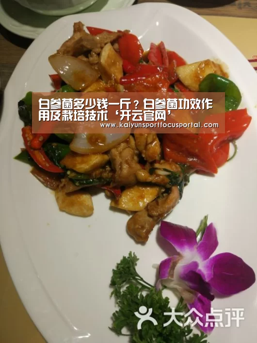 开云官方登录