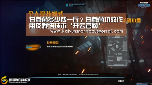 开云官方登录
