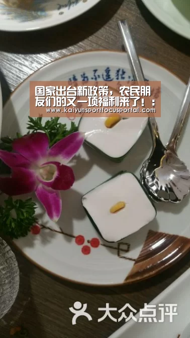 开云在线登入