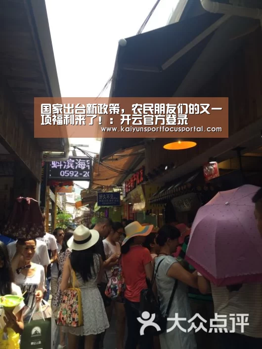 开云在线登入